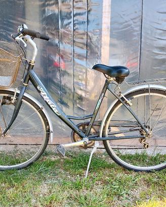 bicicletta Atala muscolare 
