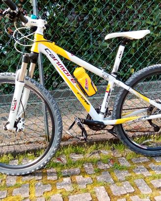 mtb mis.s