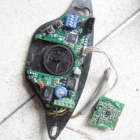 Scheda cinghia e gomini Sesamo