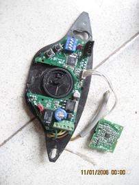 Scheda cinghia e gomini Sesamo