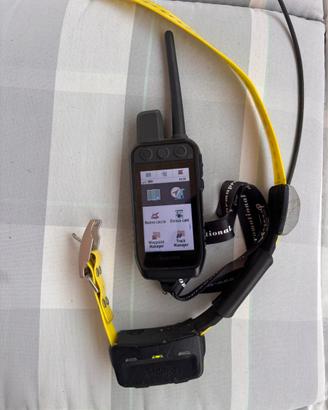 Garmin alpha 200k e collare k5