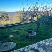 Antiche macine in pietra