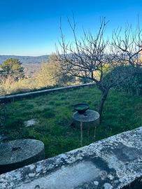 Antiche macine in pietra