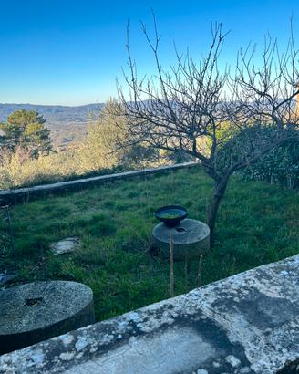 Antiche macine in pietra