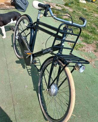 Bicicletta uomo