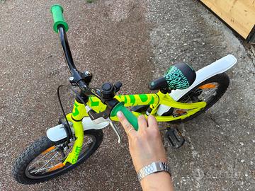 Bicicletta