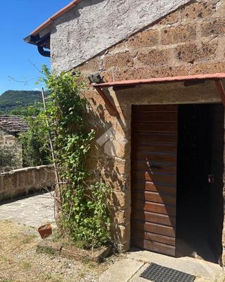 RUSTICO A BOMARZO