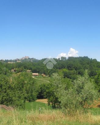 TER. AGRICOLO A POGGIO CATINO