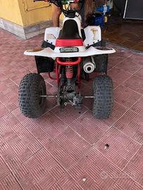 Italmoto Altro modello