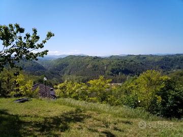 Case, cortile, terreno e garage