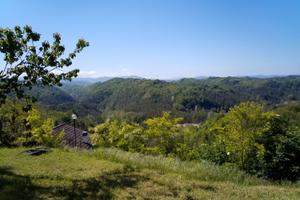 Case, cortile, terreno e garage