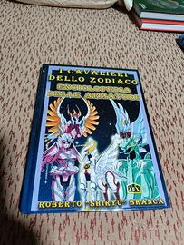 I Cavalieri dello Zodiaco enciclopedia