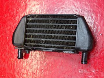 RADIATORE OLIO SX DX BMW R850R