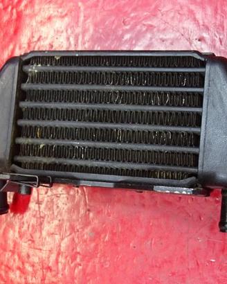 RADIATORE OLIO SX DX BMW R850R