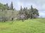 Immagine 5