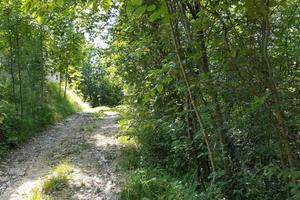 Rif.RT345J_1| terreno agricolo cornuda