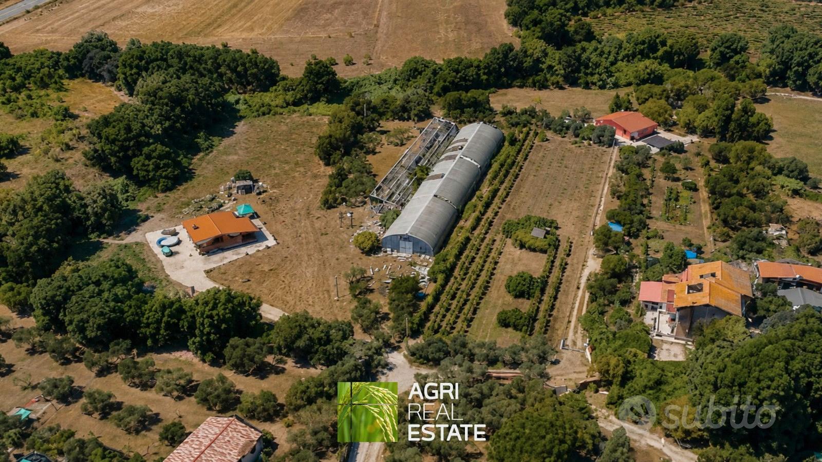 Capannone agricolo 840 MQ con terreno 5.450 mq - Vista 2