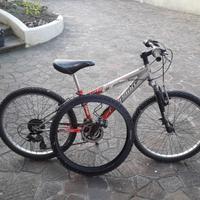 bicicletta mtb 