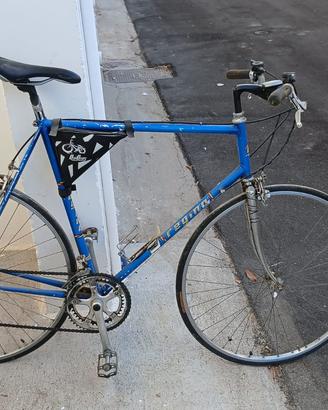 Bicicletta da corsa regina