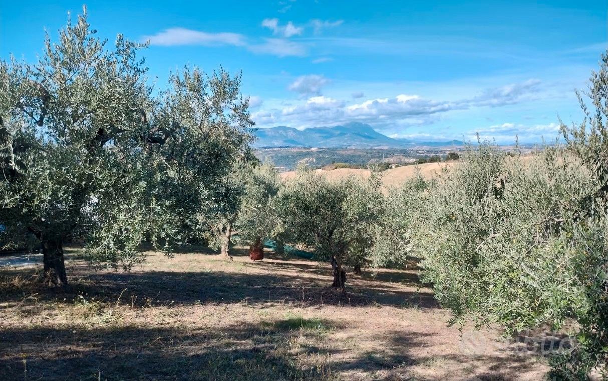 Terreno agricolo - Vista 4