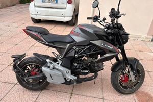 Lem brutus 110 cc anno 2025