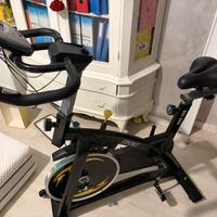 Cyclette professionale - da revisionare