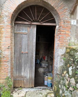 Cantina a tolfa