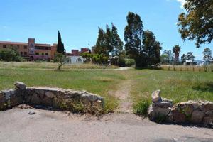 RGE 205/2019 Trib Tempio Pausania - LOTTO 1