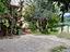 Immagine 13