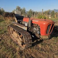 Trattore cingolato Lamborghini 4 Ctl