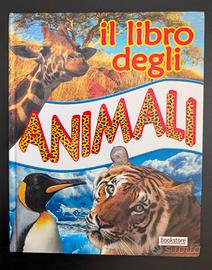 N.2 libri per ragazzi 