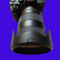 Kit Fotocamera Sony Alpha 7SII + 24-70 GM 2.8