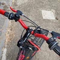  Bicicletta da ragazzo 
