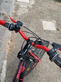  Bicicletta da ragazzo 