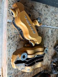 Pinze zx6r 2005-2006