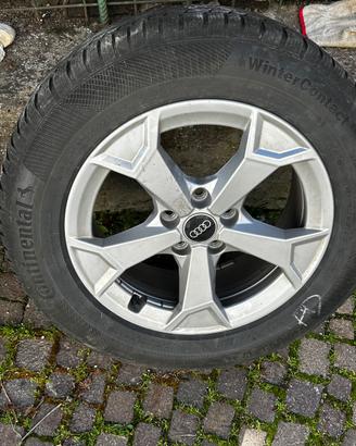 Ruote e cerchi Audi wo