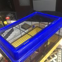 Gabbia x cricieto e coniglietti