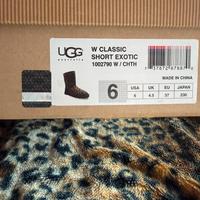 Ugg maculati
