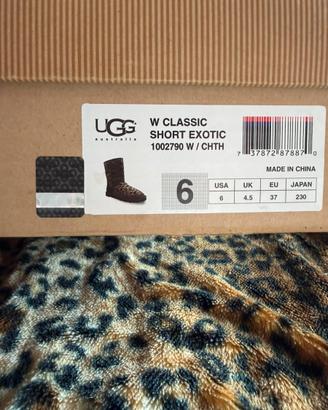 Ugg maculati