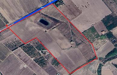 Terreno 19Ha - Mineo