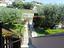 Immagine 7