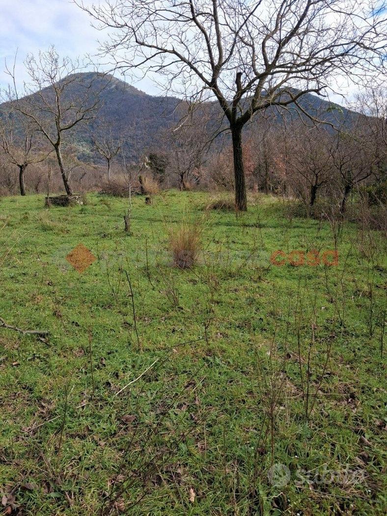 Terreno Agricolo Castel San Giorgio - Vista 5