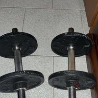 2 pesi palestra