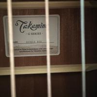 Chitarra Takamine