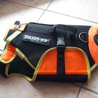 Pettorina da barca per cani