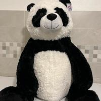 Panda gigante