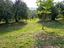 Immagine 16