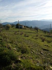 Masseria nel comune di Oriolo-Montegiordano (CS)
