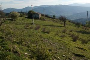 Masseria nel comune di Oriolo-Montegiordano (CS)