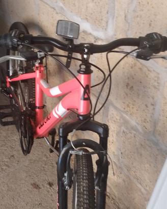 bicicletta aurelia 